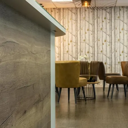 Kyriad Prestige Bordeaux Aeroport Мериньяк